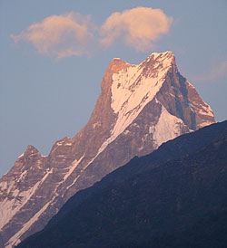 Fishtail in Morning